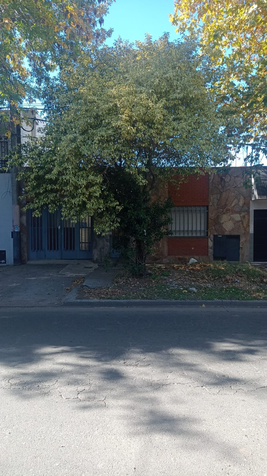 Juan Manuel de Rosas 3753