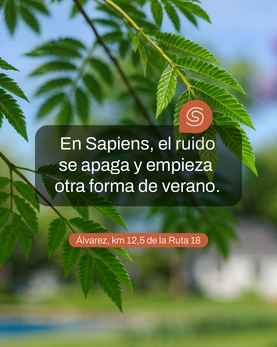 Lote de terreno en Sapiens - Foto 2