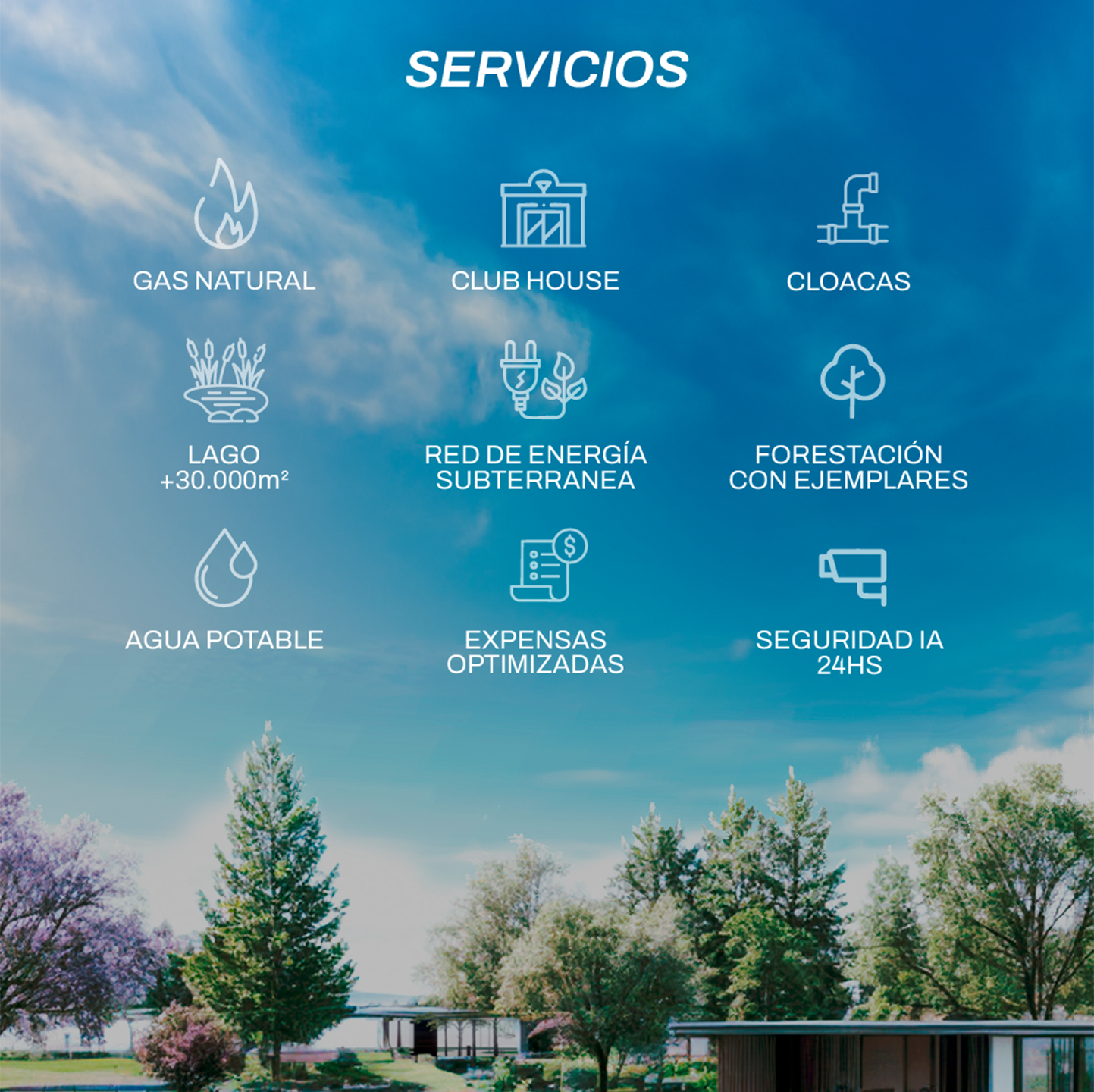 Lote de terreno en Sapiens - Foto 3