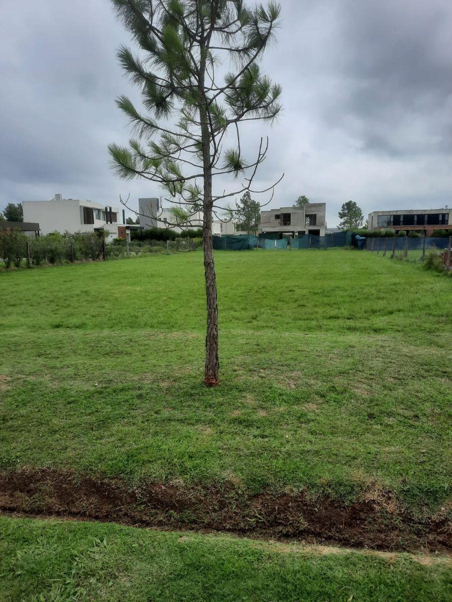 Terreno en Puerto Roldán - Foto 3