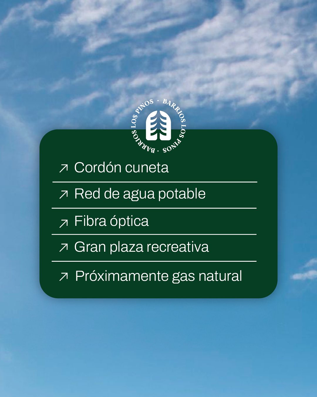 Lote de terreno en Los Pinos 4 - Foto 4