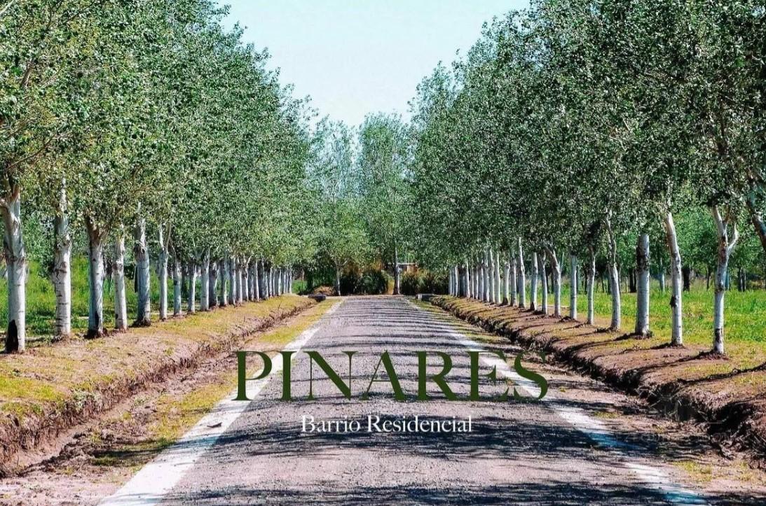 Lote de terreno en Pinares del Sur - Foto 2