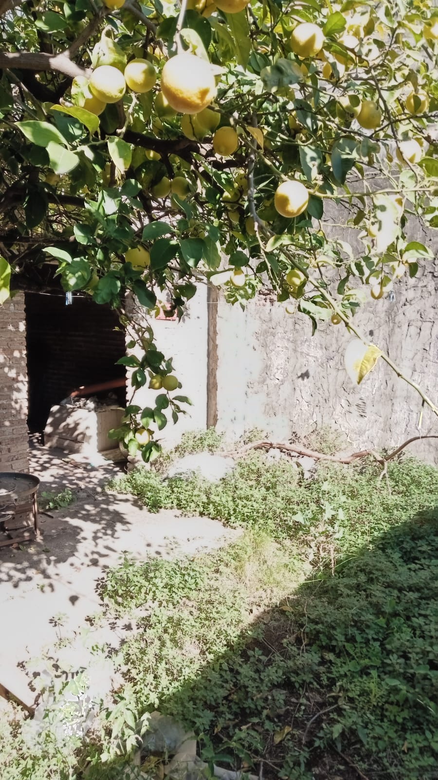Tte. Agneta 2030 - Foto 15